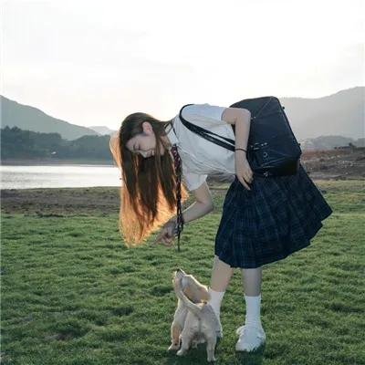 黄猫